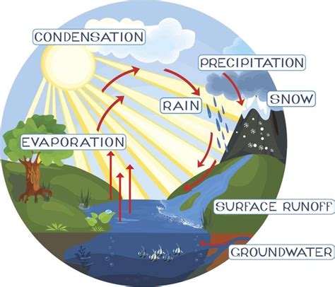 Water Cycle Processes Water Cycle Water Cycle Process Water Cycle Steps