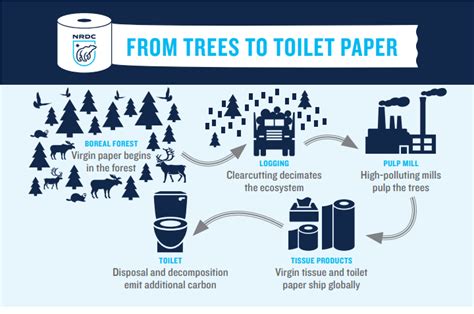 What Is The Environmental Impact Of A Toilet Paper Roll