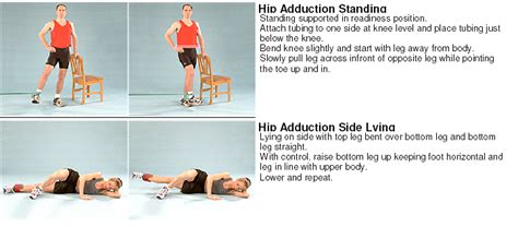 Abductor And Adductor Exercises At Home Online Degrees