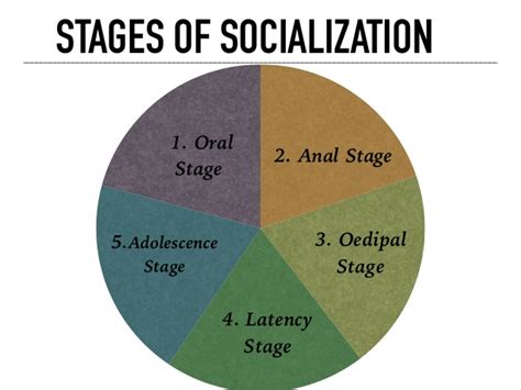 Stages Of Socialization The Foundations Of Society Bcis Notes