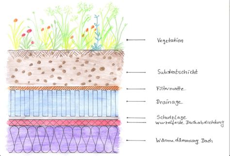 Dennoch steckt einiges drin im flachdach, vor allem im schichtweisen aufbau dieser besonderen dachart. Carport Flachdach Begrunt Aufbau - Carports Garage Ideas