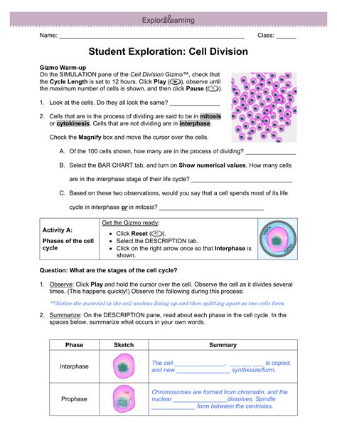 Learn vocabulary, terms and more with flashcards, games and other study tools. 102 The Process Of Cell Division Worksheet Answer Key ...