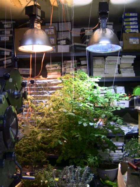 Hey everyone, this is nate with growers house and today i have a very new light fixture on the hydroponic growing market. Indoor Gardening: Making Year Round Gardening Possible ...