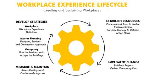 workplace-experience-graphic