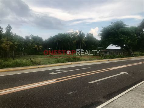 Commercial Lot For Sale In Tinago Siquijor Siquijor One Stop Realty