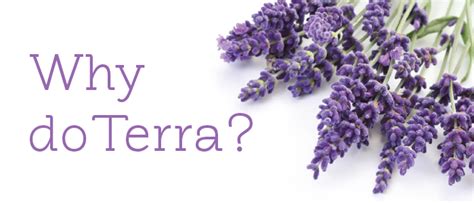 Why We Love Doterra Part 1 Sourcing Oils And Answers