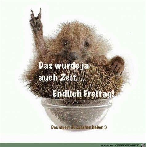 Endlich freitag (live) , 02:59. Endlich Freitag | Fun weekend quotes, Weekend humor, Drink ...