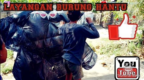 I like it because it's free to. Layang layang burung hantu (celepuk) besar size 2x1 meter# ...