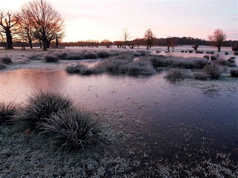 Uk Weather First Frost Of The Year To Hit Britain As Winter