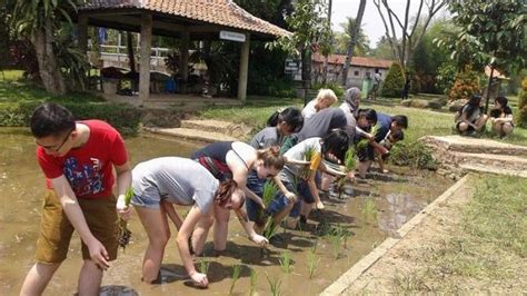 Kampung Wisata Cinangneng Pelopor Wisata Edukasi Desa Di Bogor