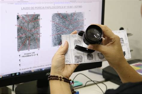 Papiloscopista O Que Faz