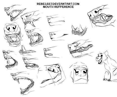 Canine Mouth Refference By Rebe1667 Canine Art Art Drawings