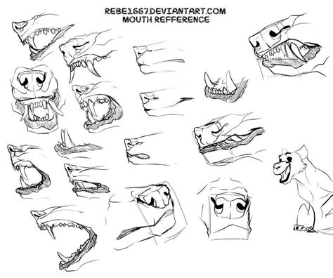 Canine Mouth Refference by rebe1667 | Canine art, Art, Drawings