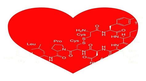 Oksitocin Da Li Se Sa Pravom Naziva Hormon Ljubavi