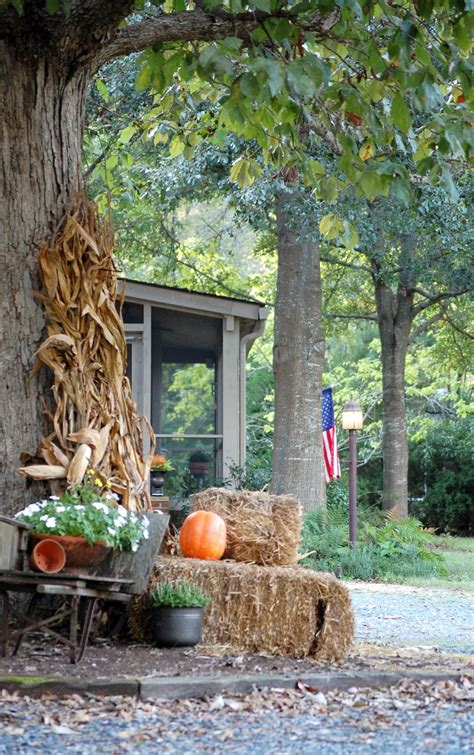 Small prop roots at the base of corn help keep the stalks standing, but outside forces, such as wind (potassium is essential for good, strong stalks.) amending the soil with organic matter in the form of. Tidy Brown Wren, bringing order to your nest: Enjoying A ...