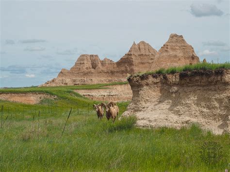 We did not find results for: Meanderthals | Castle Trail and Medicine Root Loop ...