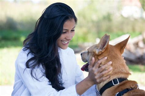 A-Z of animal care careers – My Learning Online