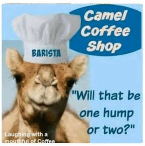 Hump day coffee mug handpainted coffee cup hump day by. FUNNY THINGS image by Ginny Kuzlotsky in 2020 | Hump day ...