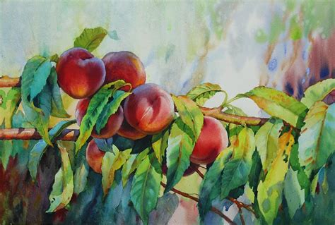Nature Watercolor Peaches Painting By Samira Yanushkova Fine Art America