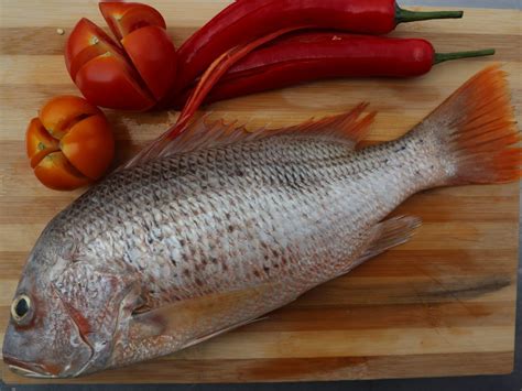 Home › ikan jenahak 1kg. Ikan Jenahak - NEKMAT