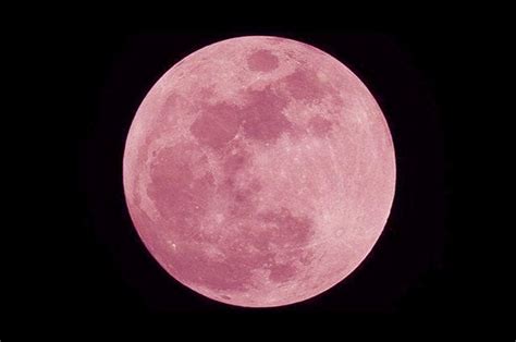 564 просмотра 8 месяцев назад. La Luna Rosa splende nel cielo di aprile: quando vederla e ...
