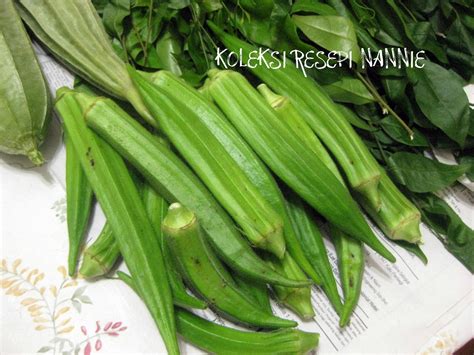 Dengan menanam sayuran di halaman rumah, bukan hanya bermanfaat bagi kebutuhan pangan saja. SAYUR-SAYURAN DARI KAMPUNG.. - Koleksi Resepi Sedap