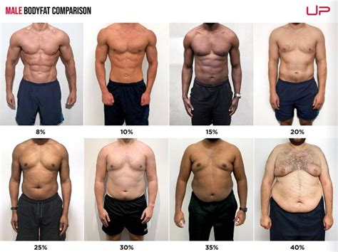 Male Body Fat Percentage Comparison [visual Guide]