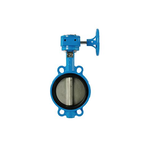 Butterfly Valve Wafer Type Sus304 Cw Gear Operator