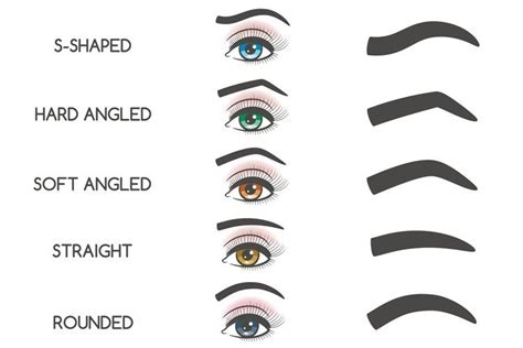 Choosing The Right Eyebrow Shape For Different Face Shapes Modda Donna