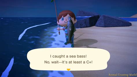 Animal Crossing Localization Writer Reveals The Sea Bass Puns Creation