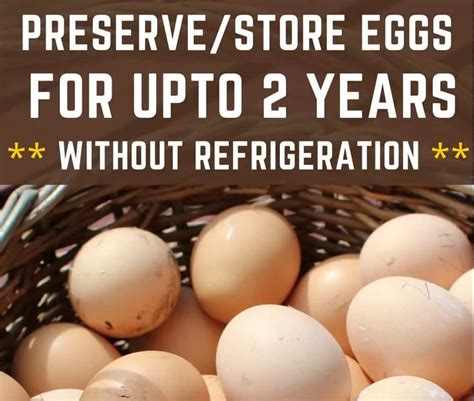 How To Store Fresh Eggs For Up To 2 Years