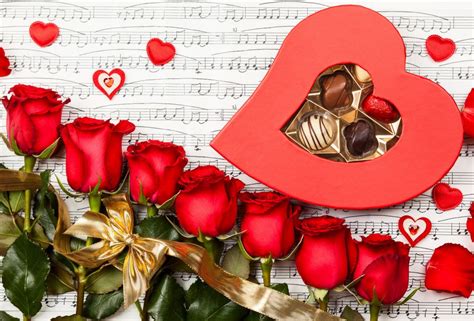 For You Roses Heart Nature Red Roses Rose Chocolate Flowers With Love