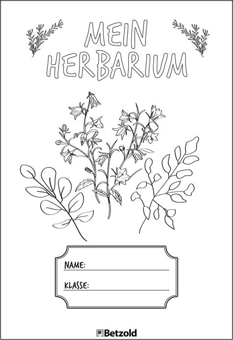 Mein digitales herbarium ist eine sammlung von wildkräutern und heilpflanzen. Herbarium anlegen: Tipps & Vorlagen | Schulunterricht ...