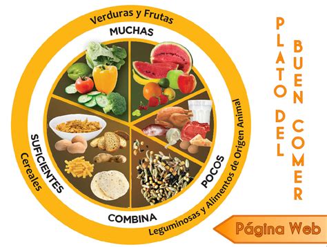Alimentos Que Conforman El Plato Del Buen Comer Background Ales Mapa