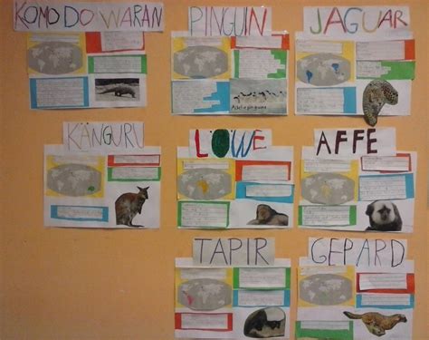 Zootiere im Sachunterricht – MLS-Alheim
