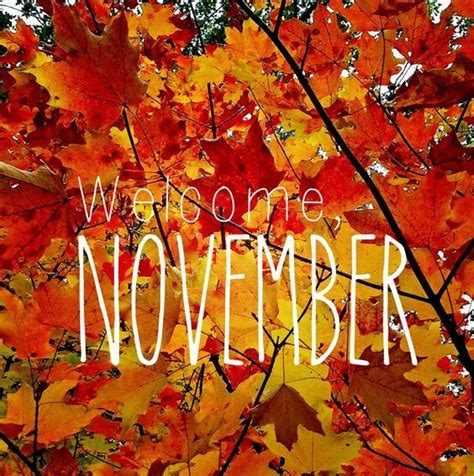 Seasonalwonderment “ Welcome November ” Welcome November November