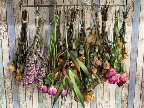 Why And How To Dry Your Own Flowers Sustainable Floristry Blog — The