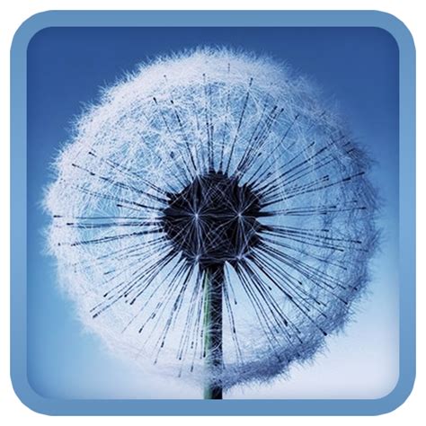 Wallpaper Png : 49+ HD Wallpaper PNG on WallpaperSafari - Download hd