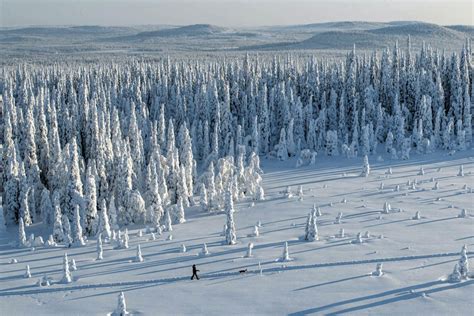 Feel The Magic Of Lapland Visit Finnish Lapland