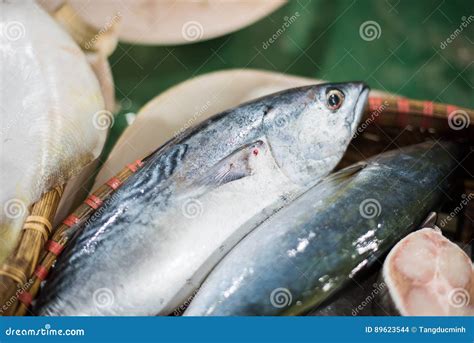 Fresh Tuna Fish Stock Photo Image Of Healthy Fishery 89623544