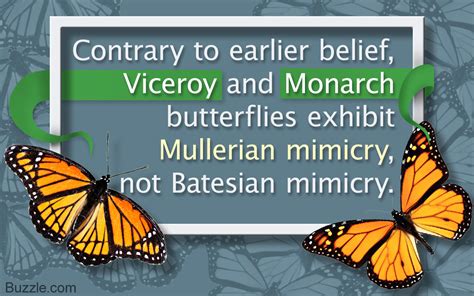 Mullerian mimicry is a phenomenom in which two different toxic species mimic each others features. Batesian Mimicry Vs. Mullerian Mimicry - Biology Wise