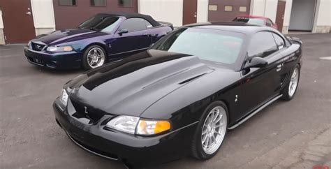 Mystic Terminator Saleen Or Coyote Swap Sn95 Which Mustang