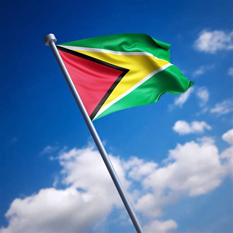Royalty Free Guyana Flag Pictures Images And Stock Photos Istock