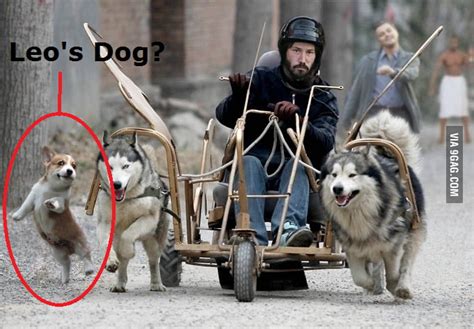 Born in beirut and raised in toronto, reeves began acting in theatre productions and in television. Just Keanu Reeves walking his dogs...wait! - 9GAG