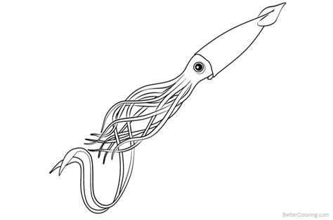 Squid Coloring Pages Line Art - Free Printable Coloring Pages