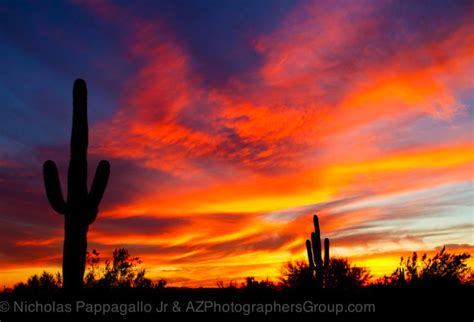 Nicholas Pappagallo Jr Mesa Arizona Sunsets Arizona Sunset Visit