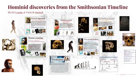 Hominid Discoveries From The Smithsonian Timeline By Taylor Birdsell On