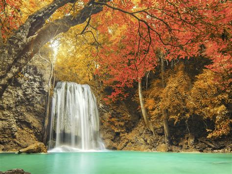 Autumn Forest Waterfall Windows 10 Hd Wallpaper Preview