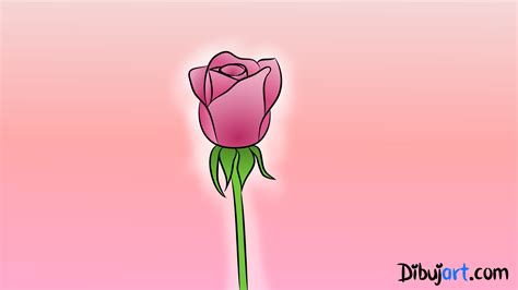 Cómo Dibujar Una Rosa 3 Dibujos De Rosas Rosadas