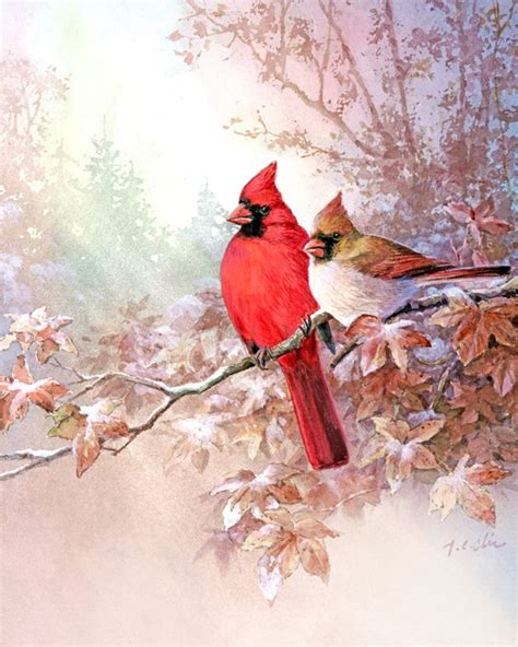 Cardinals Art Print Of Watercolor Painting Birds T Etsy